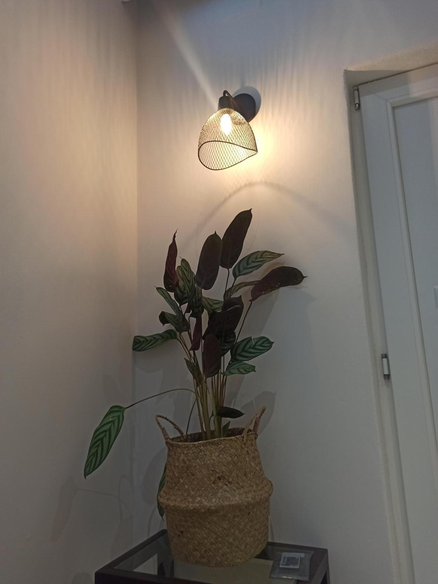 אלכסנדרופולי Konstantina'S Apartment מראה חיצוני תמונה
