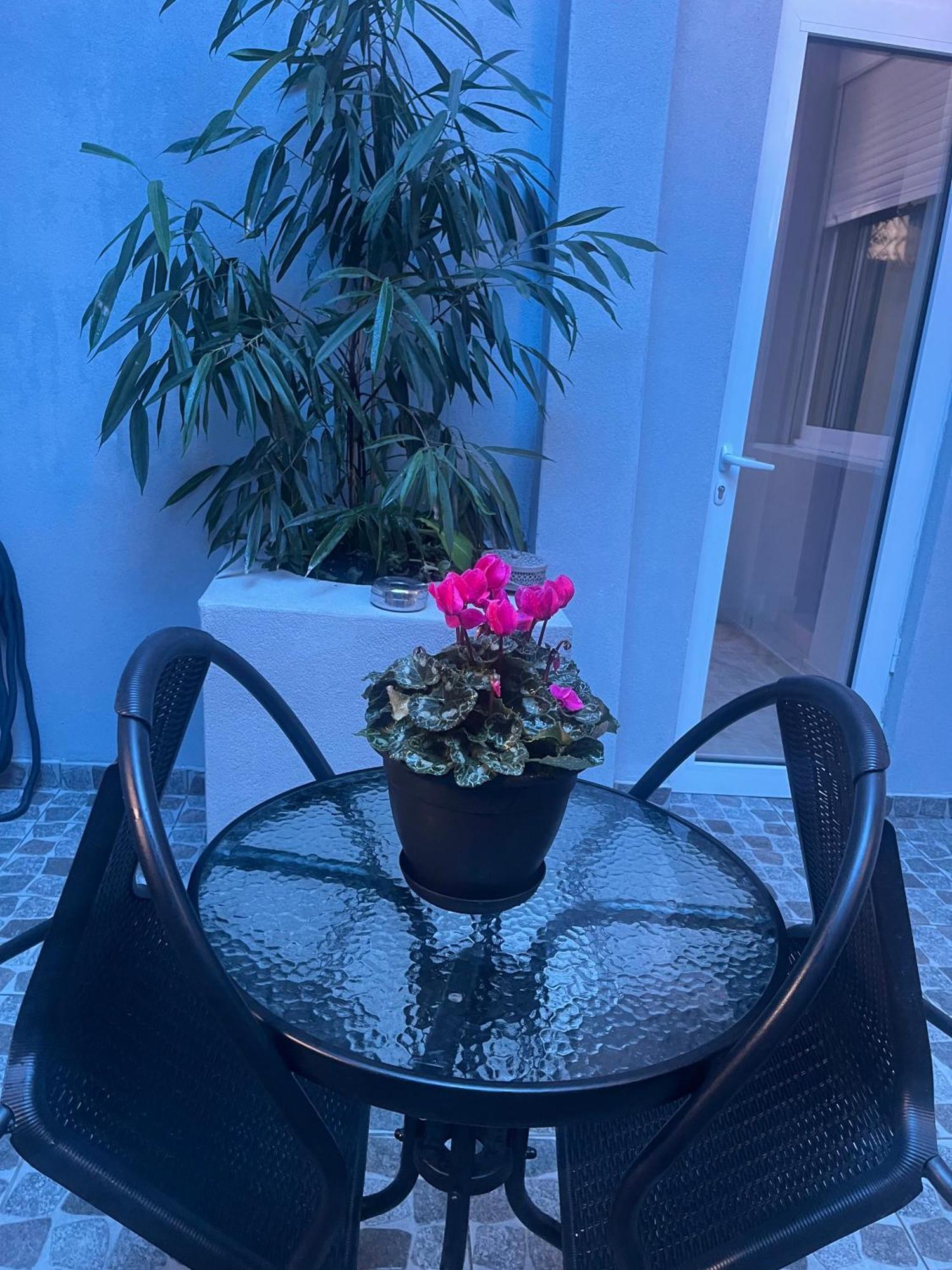 אלכסנדרופולי Konstantina'S Apartment מראה חיצוני תמונה